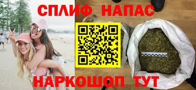 индика Гусиноозёрск