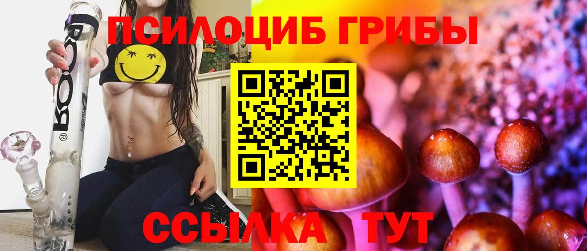 Псилоцибиновые грибы Cubensis Аксай