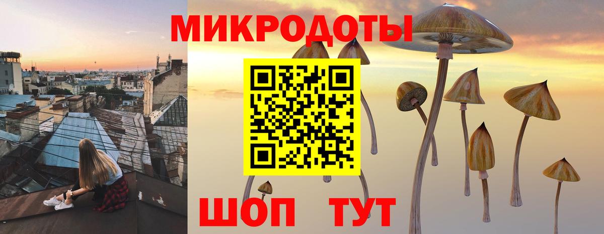 Галлюциногенные грибы GOLDEN TEACHER  Вход с VPN  Аксай  Галлюциногенные грибы Psilocybine cubensis 